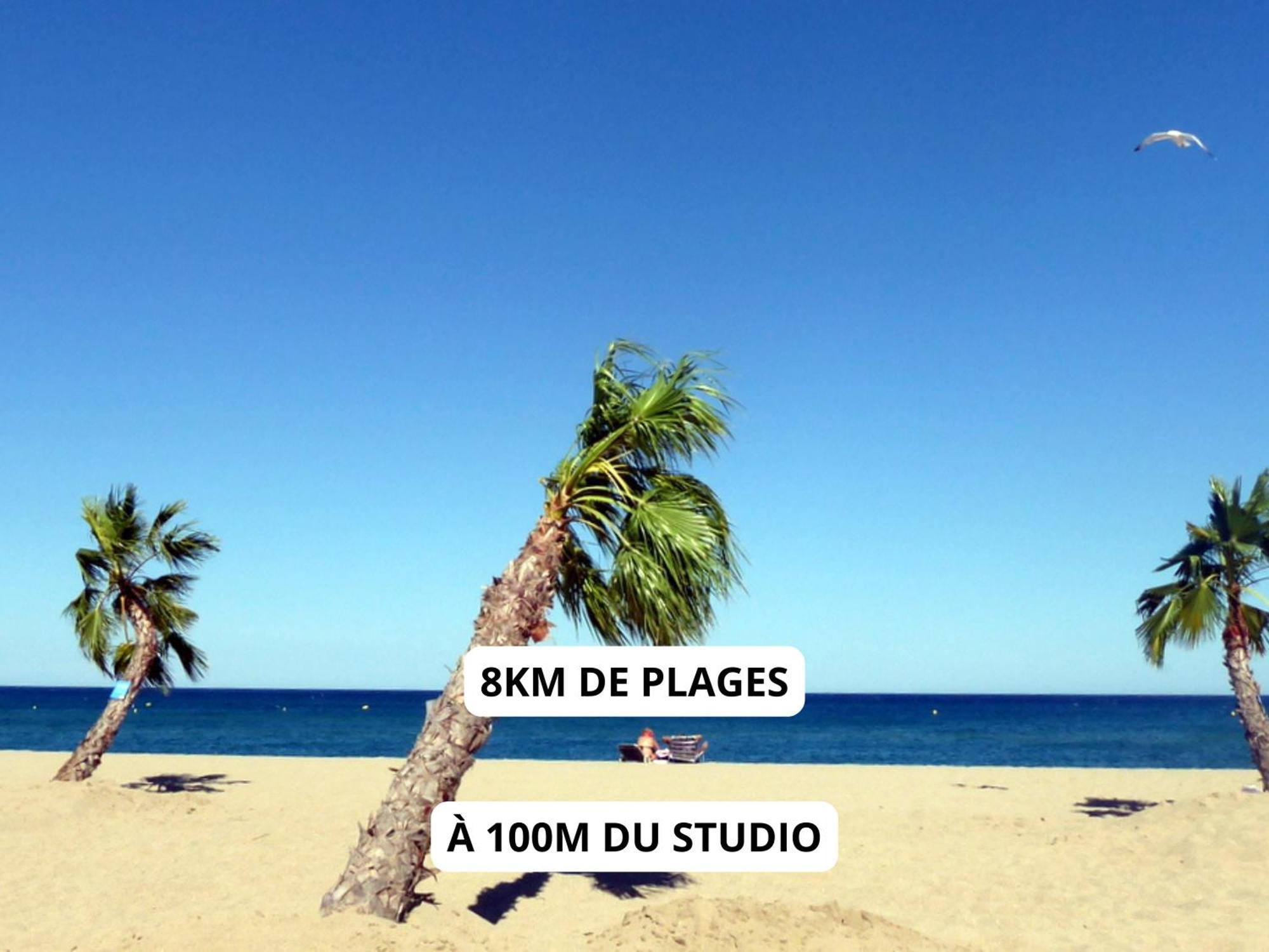 Appartement A 100M De La Plage - Terrasse & Parking Prive Le Barcarès Esterno foto